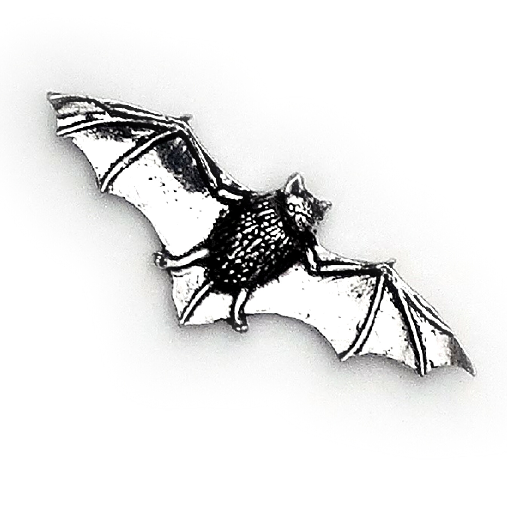 Bat pewter badge A34