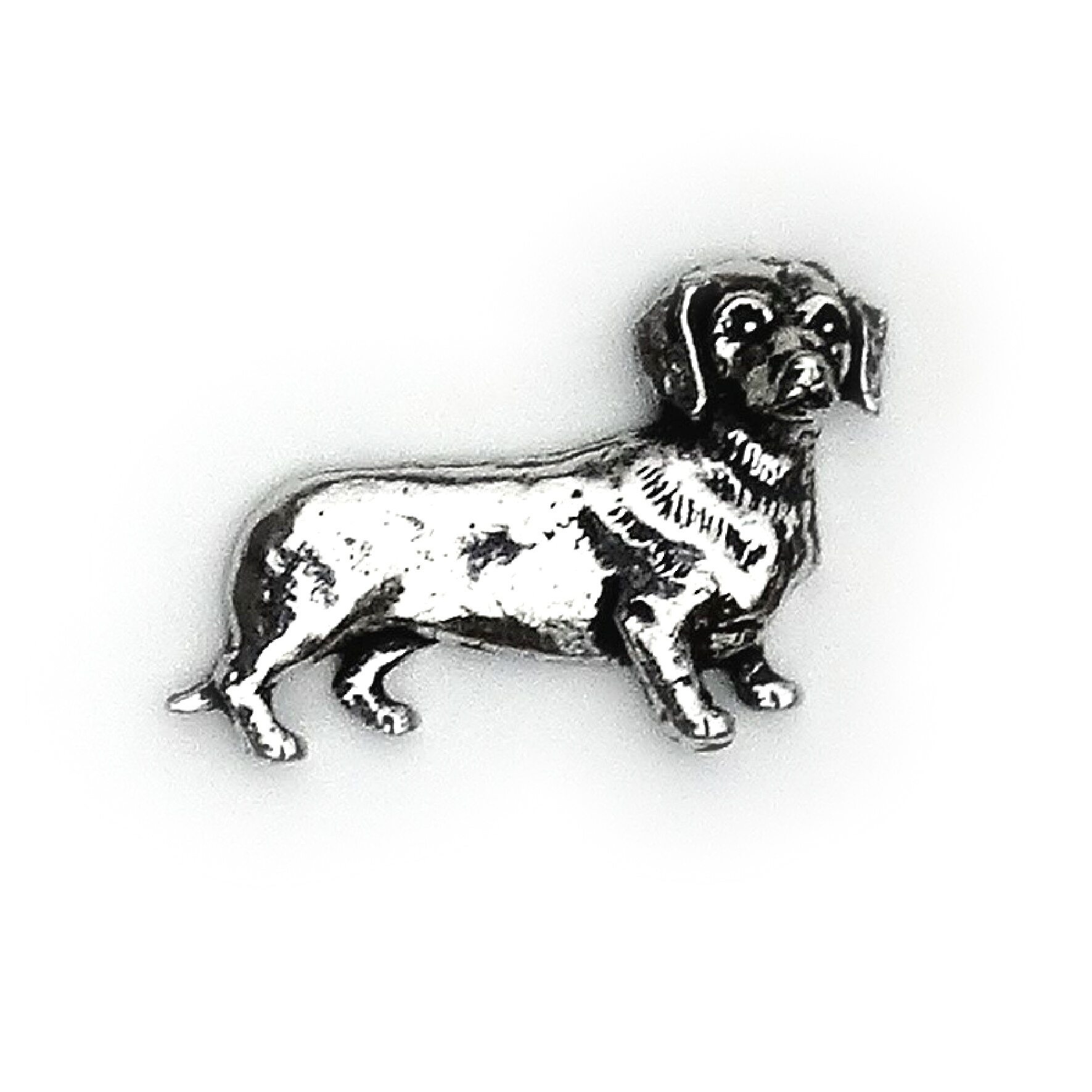 Dachshund A46