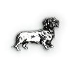 Dachshund A46