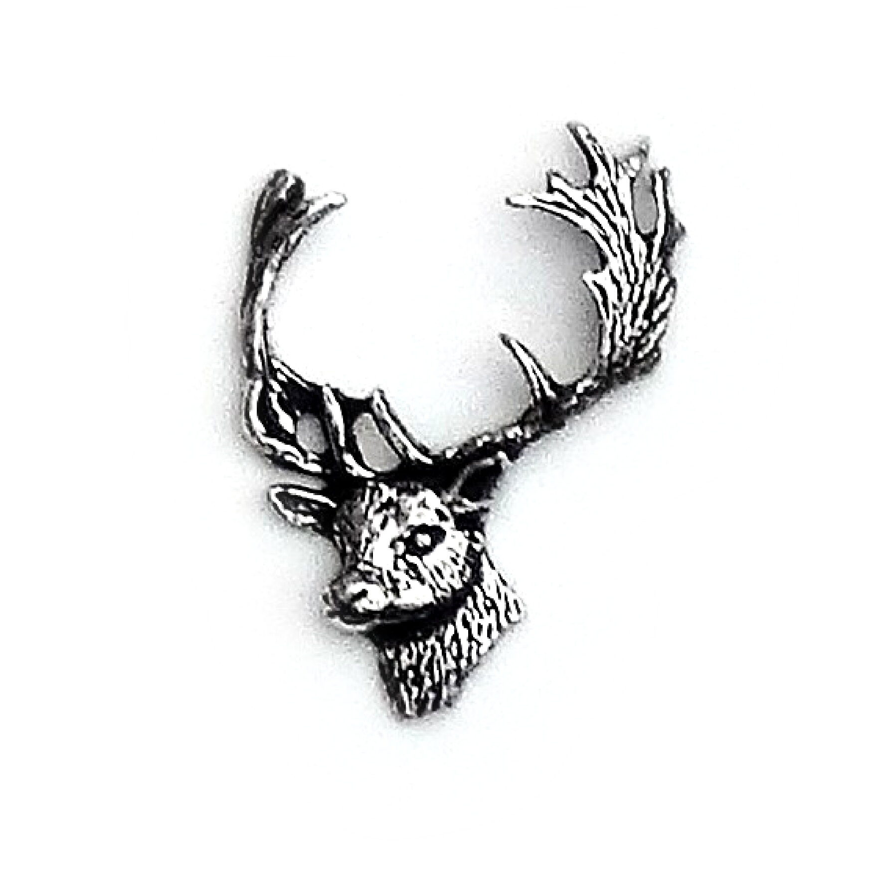 Fallow Deer Head A63