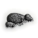 Hedgehog Family A46