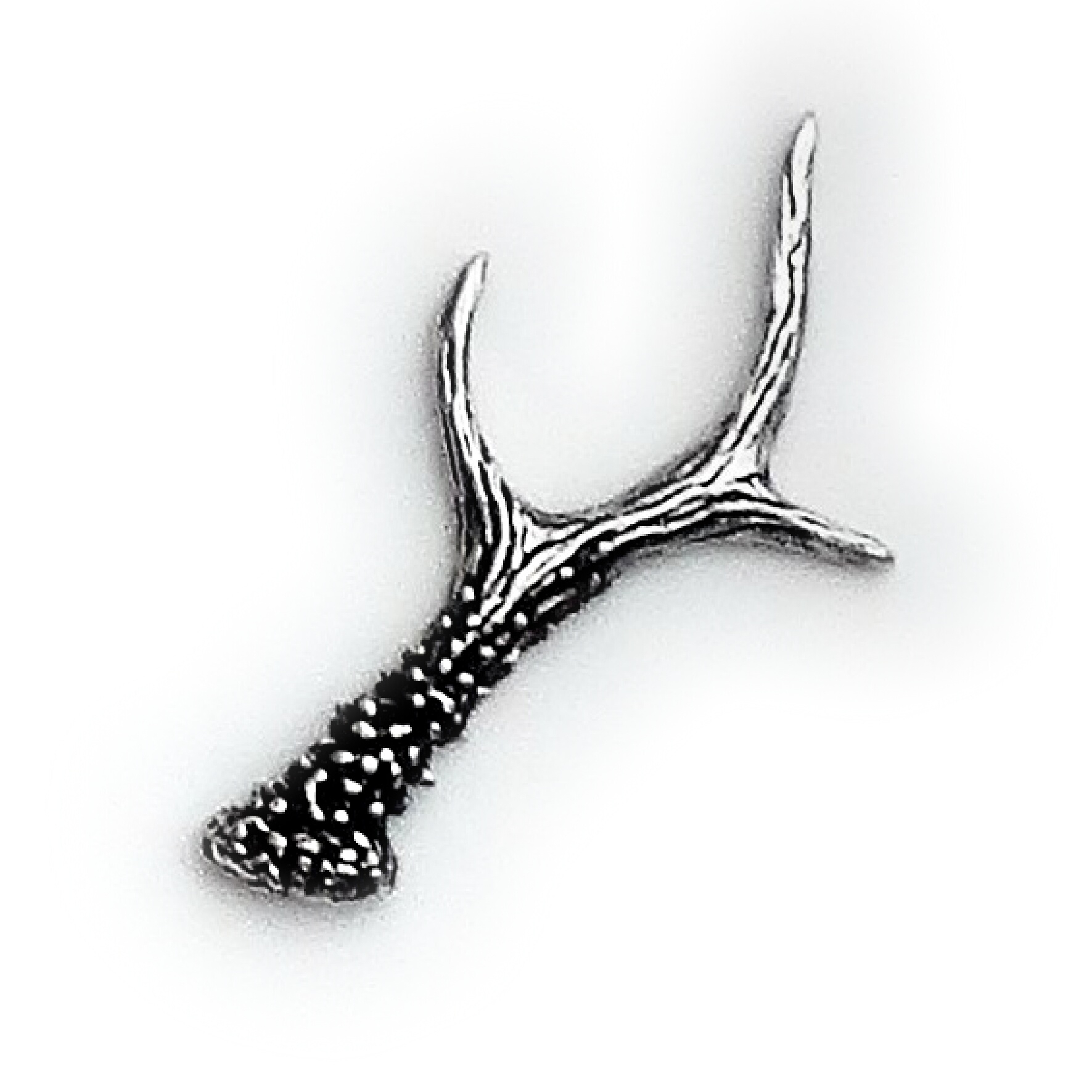 Roe Antler Pewter Badge A56