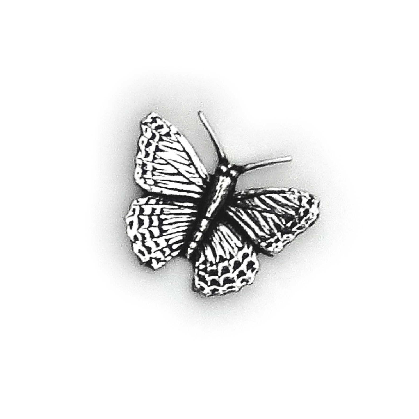 Small Butterfly C2