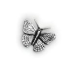 Small Butterfly C2